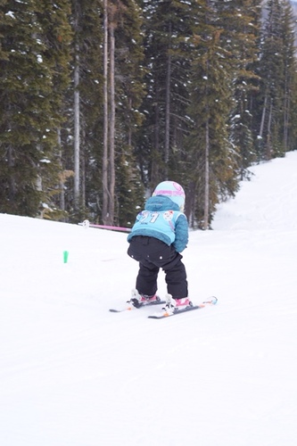 DSC00431_smaller DSC00431_smaller
