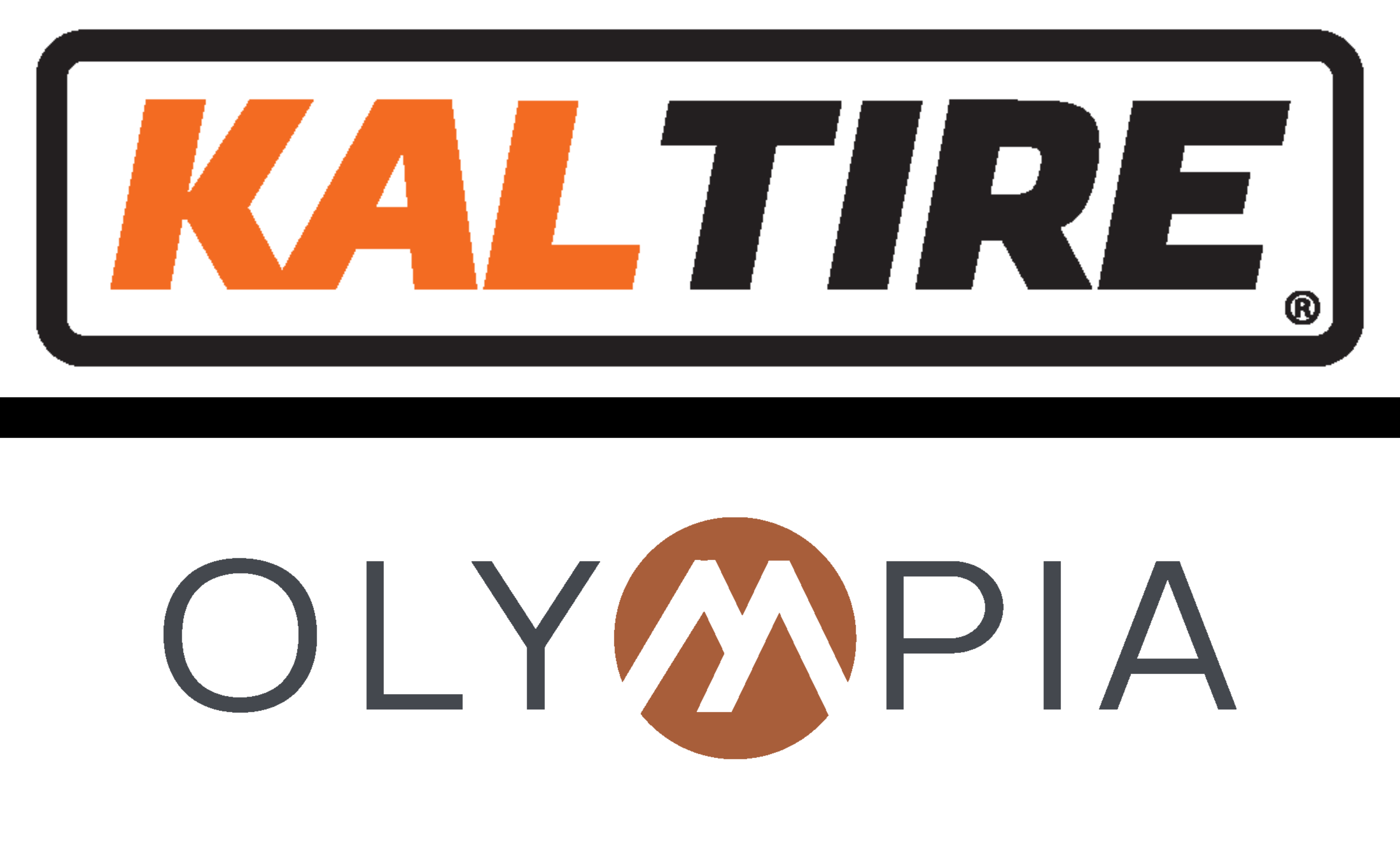 Gold sponsors 25-26 (3300 x 2000 px)